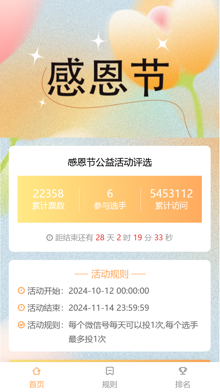 感恩节公益活动评选